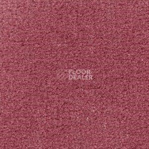 Ковролин Radici Admiral Blush 2203 фото 1 | FLOORDEALER